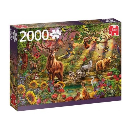 Puzzle 2000pièces - Forêt Enchantée au crépuscule