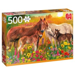 Premium Collection - Horses in the Meadow (500 pieces)