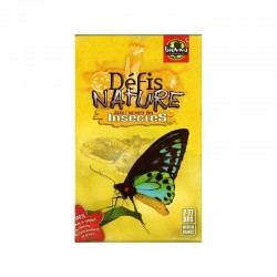 DEFIS NATURE : INSECTES