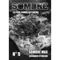 SOMBRE N°9 - SOMBRE MAX